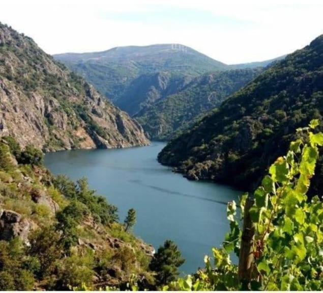 Piso Ribeira Sacra Apartment Monforte De Lemos Exterior photo